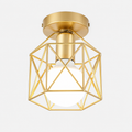 Plafondlamp met Geometrisch Design | Moderne Plafonnière
